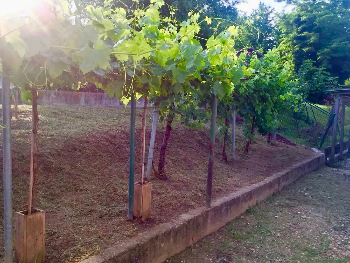 Villa Ferri Peschiera del Garda Apartamento